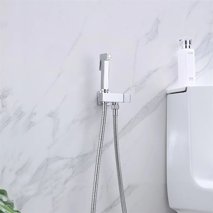 toilet mounted handheld bidet sprayer